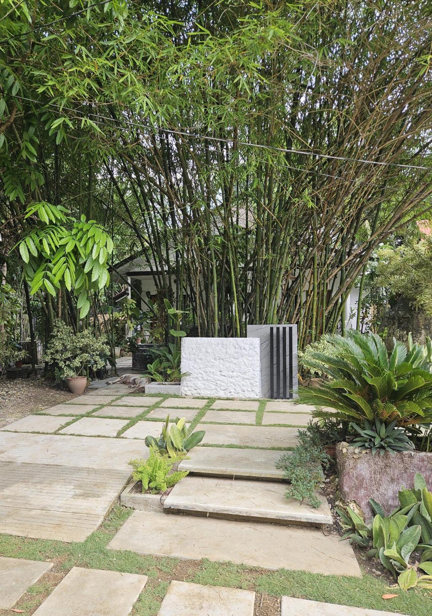 פנגלאו Oceanside 2 Bedroom House, 100Mbps Wifi מראה חיצוני תמונה